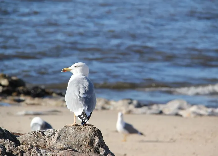 Sea House Vila Cha (Porto)